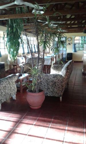 Hotel Posada Del Molino