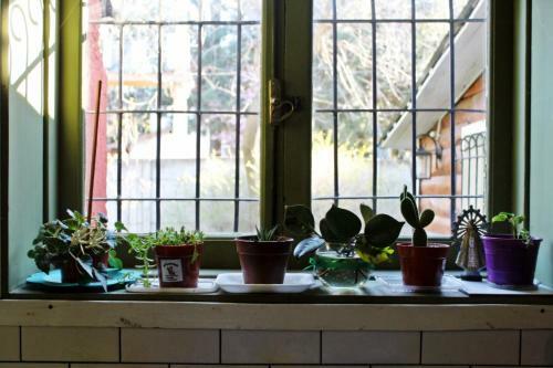 Posada Alhue Patagonia Hostel