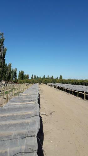 Finca La Lila