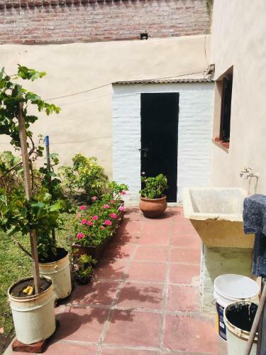 Apartamento Amplio Departamento C�ntrico