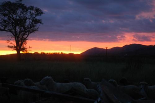 Lodge Complejo Caba�as Cerro Redondo