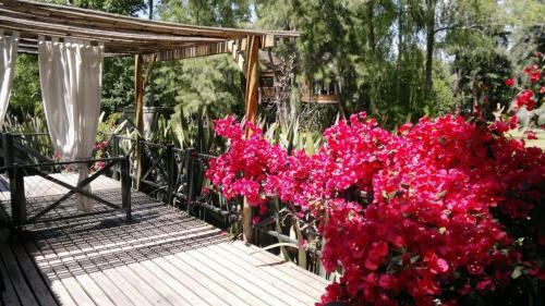 Apartamento Caba�as Bahia Esmeralda
