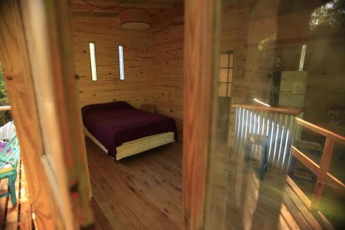 Bed & Breakfast Los Little Monkeys