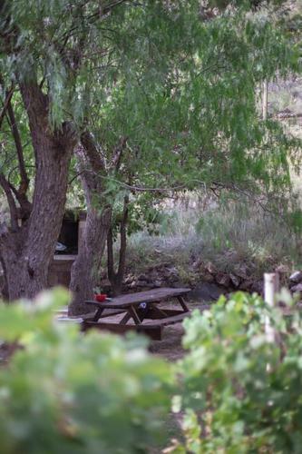 Lodge Bosque Divino Caba�as & Suites