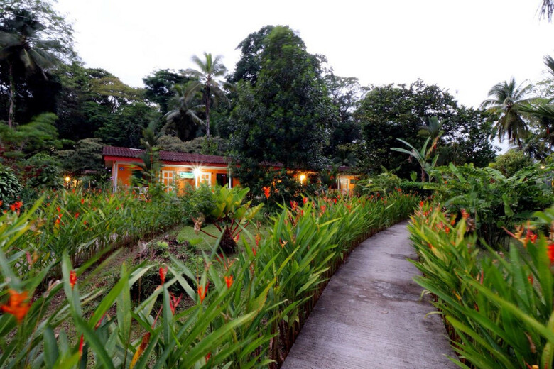 Hotel La Baula Lodge