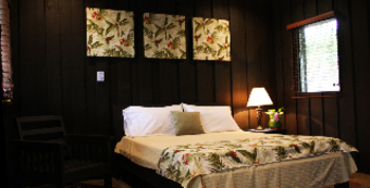 Hotel Buena Vista Lodge