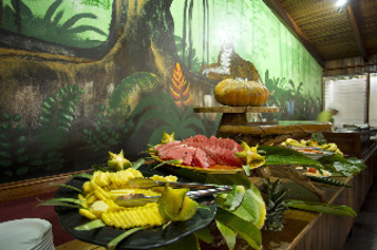 Hotel Buena Vista Lodge