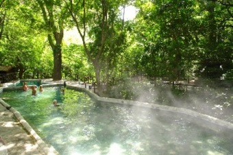 Hotel Buena Vista Lodge