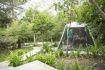 Hotel Buena Vista Lodge