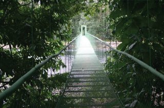Hotel Selva Verde Lodge & Rainforest Reserve