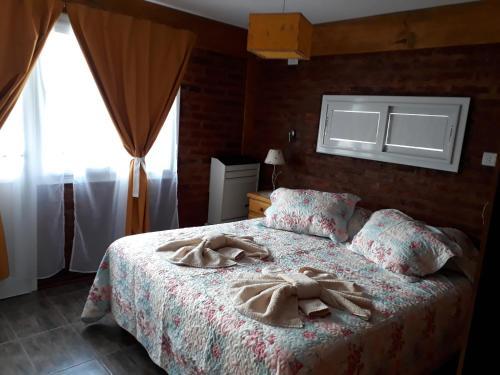 Hostal Aparthotel Pehuenia