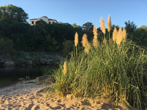 Caba�as On�rico