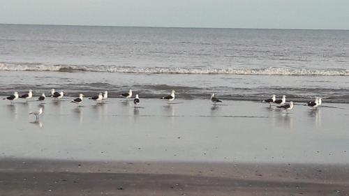 Apartamento Duplex C�rdoba M. Hermoso