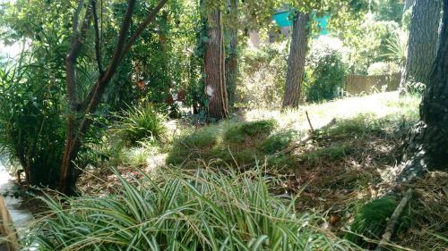 Apartamento Bungalow En Pinamar