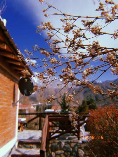 Lodge Caba�as Naupa Huen