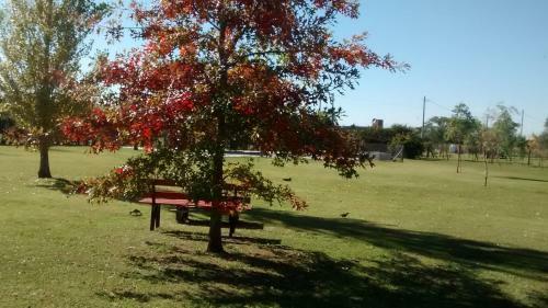 Apartamento Alma Luna Caba�as De Campo