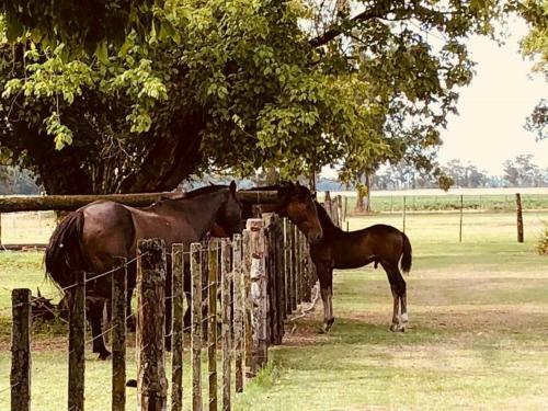 Agroturismo Casa Mansa... Puro Campo