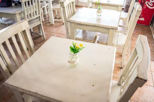 Albergue Slow Guest House