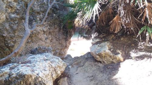Bed & Breakfast Casa Cereja 'adults Only'