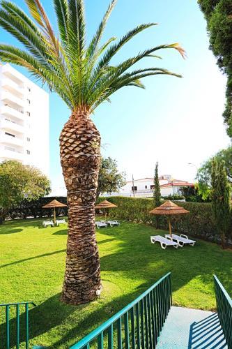 Apartamento Janelas Do Mar Privado