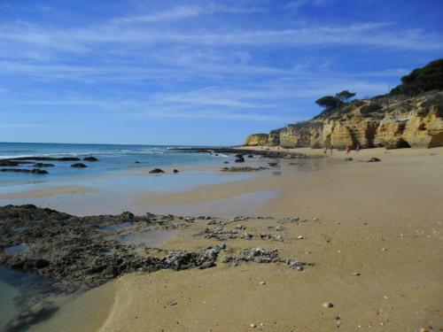 Apartamento Albufeira, Ocean Terrace (22)