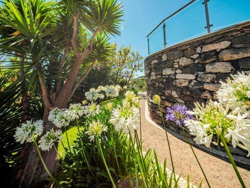 Villa Quinta Girassol By Ourmadeira