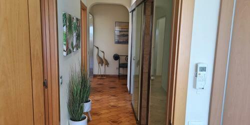 T3 Apartment Praia Da Rocha
