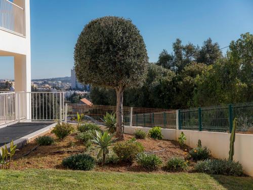 A26 - Afonso V Apartment