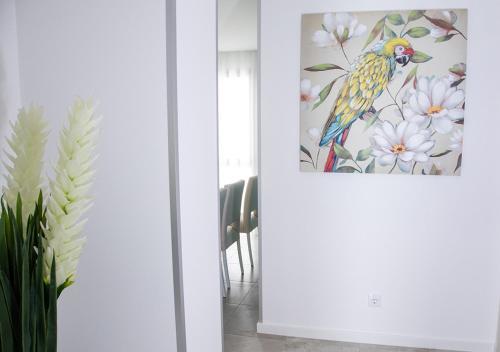 Apartamento Real Holidays Nazar�