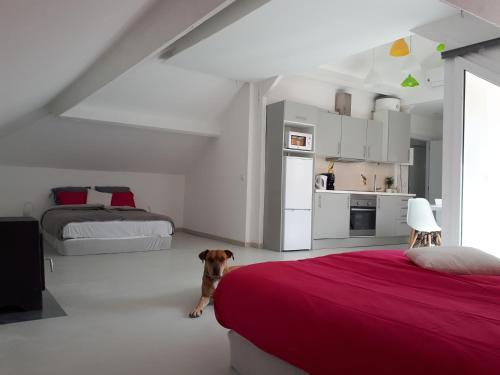 Apartamento Happy To Host You - Penthouse