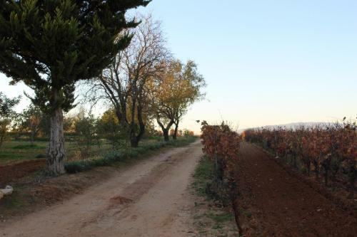 Agroturismo Wine House