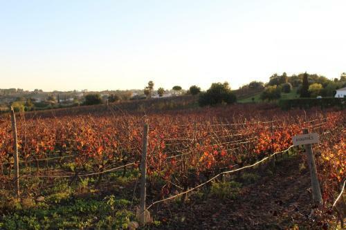 Agroturismo Wine House