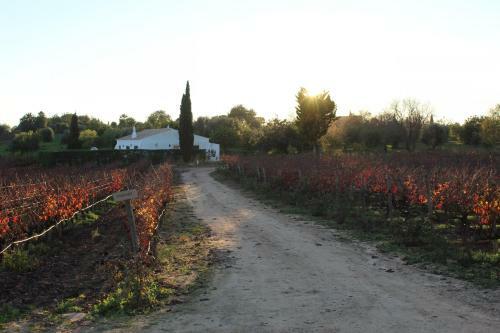 Agroturismo Wine House