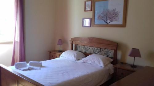 Albergue Well'come! To The Backyard House