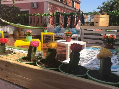 Albergue Cascais Terrace Fruit Point