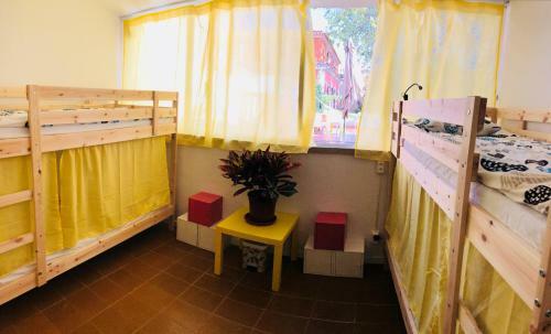 Albergue Cascais Terrace Fruit Point