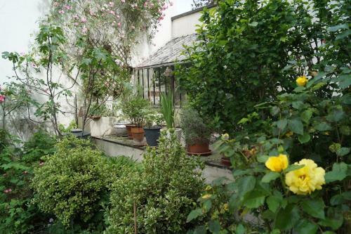 Bed & Breakfast Villa Botanique Guesthouse