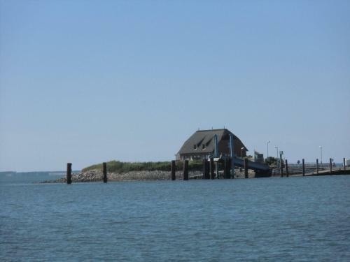 Apartamento Haus-halligblick-ferienwohnungen-am-meer