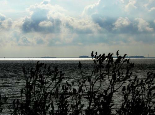 Apartamento Haus-halligblick-ferienwohnungen-am-meer
