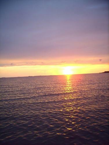 Apartamento Haus-halligblick-ferienwohnungen-am-meer