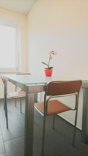 Avi City Apartments Bismarckhouse