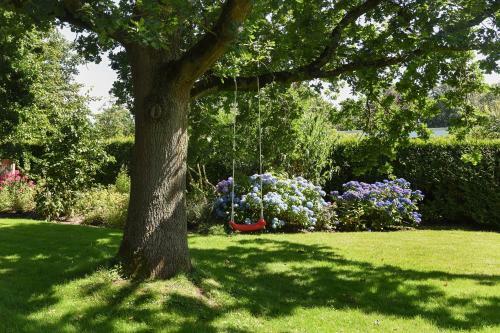 Apartamento Ferienwohnung Sonnenblume