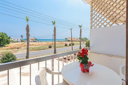 Color Cyprus Dhekelia Apartments