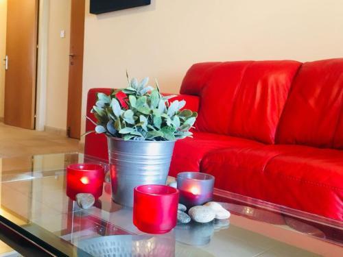 Elena Court Apartments