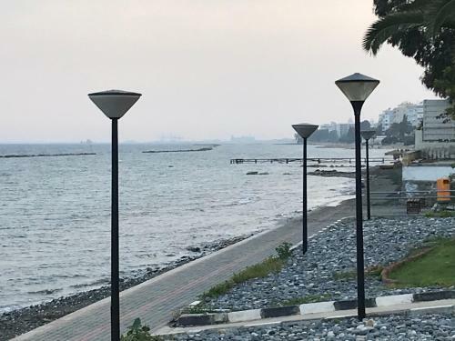 Cineplex Area Apartment