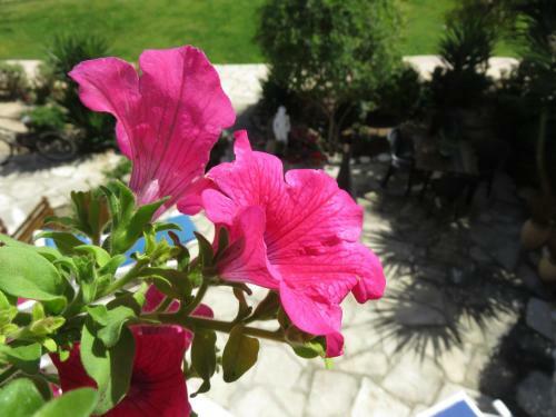 Apartamento Paradise Gardens