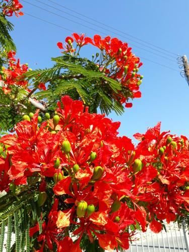 Apartamento Paradise Gardens