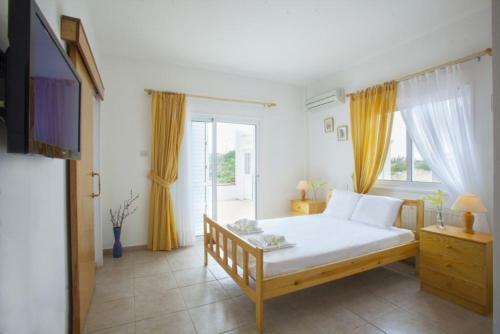 ?imagine Renting A Villa With Very Large Pool? Protaras Villa 98