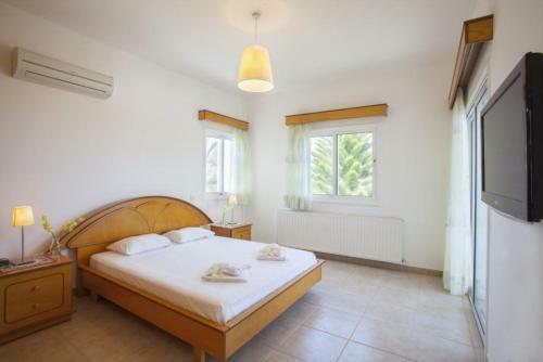 ?imagine Renting A Villa With Very Large Pool? Protaras Villa 98