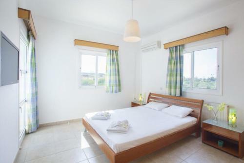 ?imagine Renting A Villa With Very Large Pool? Protaras Villa 98